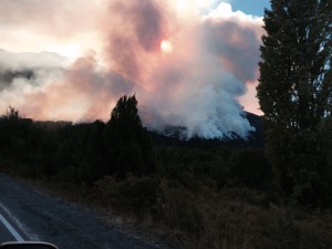 IMG-20150324-WA0012