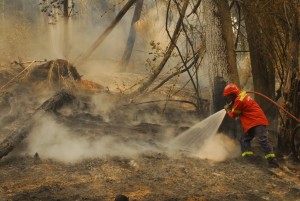 Los Alerces-Puerto Limonao