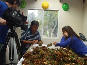 eco Programa ambiente