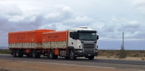 Camion en ruta