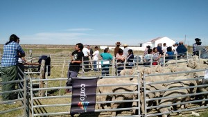 Corfo e Inta-trabajo conjunto 2