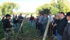 recorrido Viñedo en la chacra La Primavera