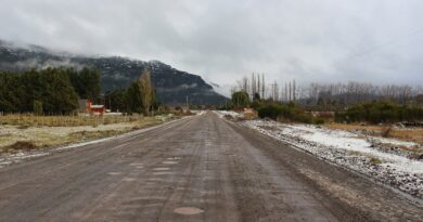 «Cano» Ingram reclamó en el Congreso por el abandono de la Ruta 259