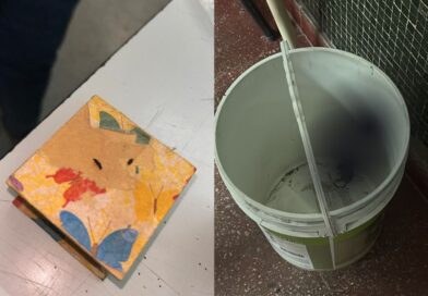 Padres preocupados por presencia de heces y roedores en la Escuela N° 37 de Trevelin