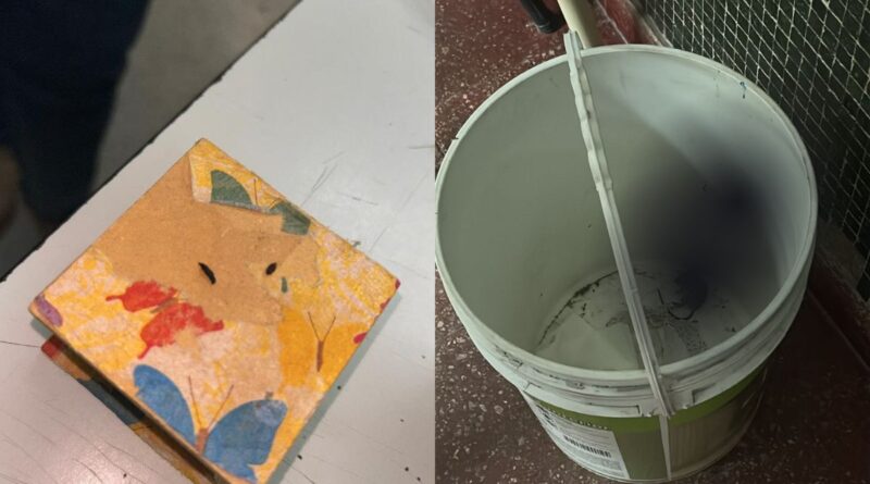 Padres preocupados por presencia de heces y roedores en la Escuela N° 37 de Trevelin