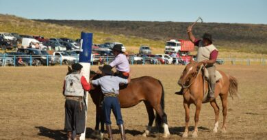 Chubut lanzará por primera vez el Registro Provincial de Jinetes