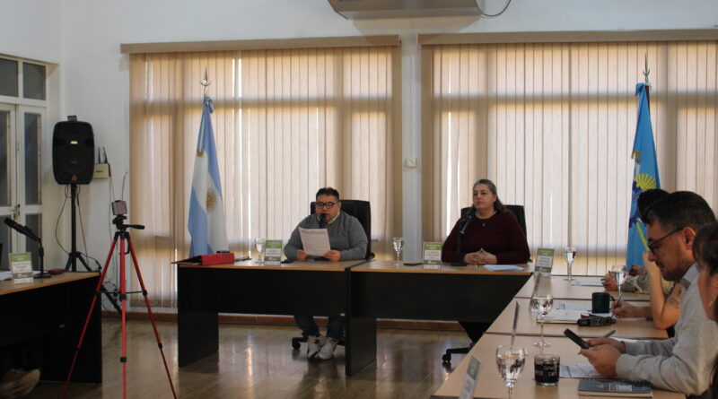 Trevelin: El Concejo Deliberante aprobó el marco normativo para su sitio web oficial